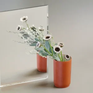 Color Mirror Super Clear